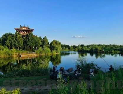 超清无码Av在线播放麻豆-沉醉光影，探索超清无码影视的魅力世界